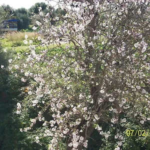 Casa Vacanze Mandorlo In Fiore , Avola Italia