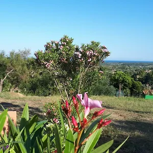 La Collina Degli Ulivi Appartamento